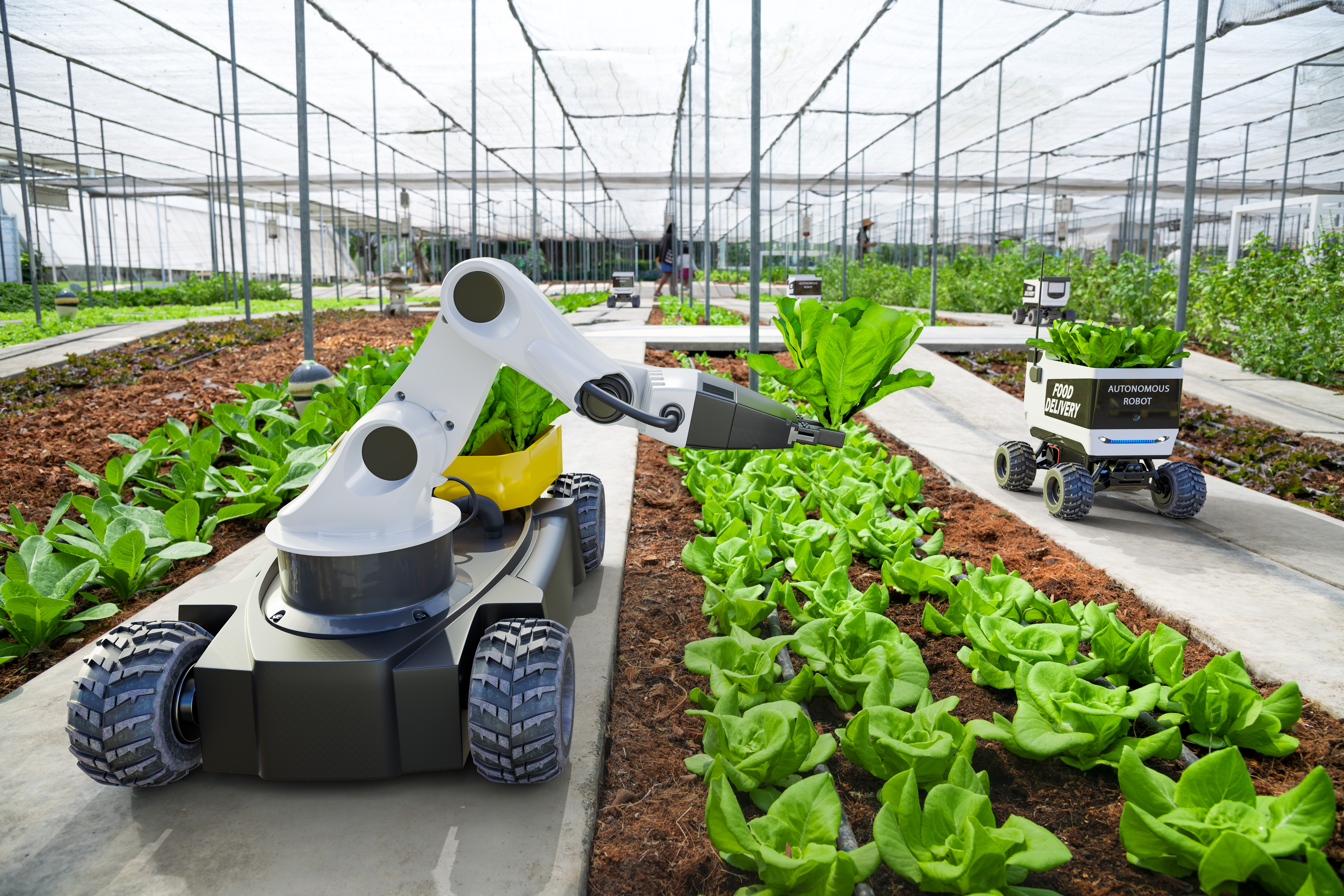 野菜を収穫するロボット